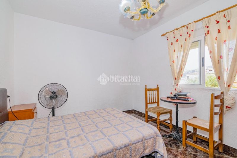 Foto 7c227ad7-a4a0-4025-9ab0-9ac48cd17879. Pis a Loja