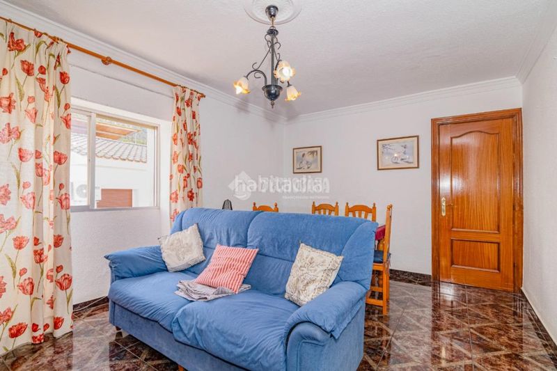 Foto a5269466-c74e-4681-ab5a-d2e0847b7ddb. Pis a Loja