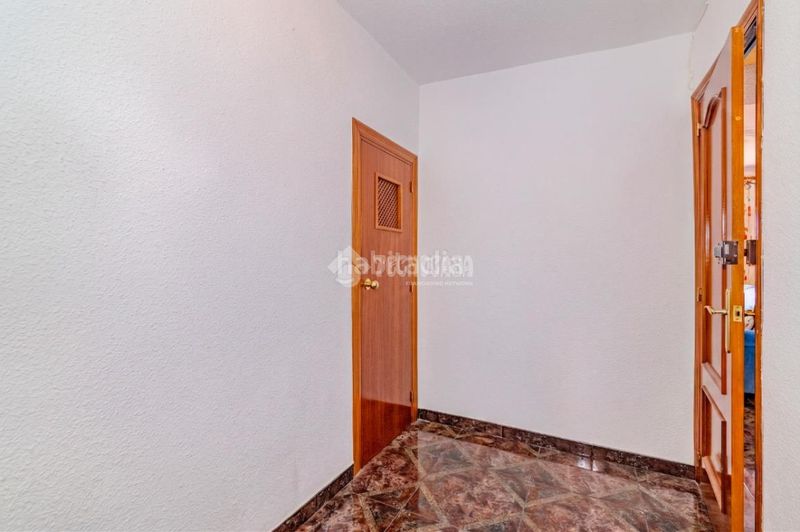 Foto dd2b6ac5-c2b8-4236-aa41-81ead5fb60a0. Pis a Loja