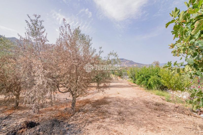 Foto b44b7617-94bc-4d1b-a00e-1440a175eadc. Masia a Loja