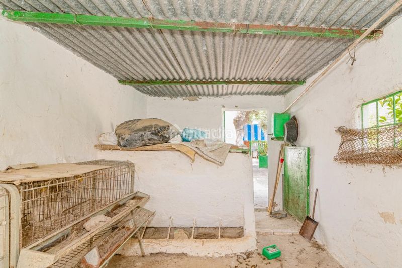Foto 126462c0-e6ce-4e60-b851-dfe925b7a5e8. Masia a Algarinejo