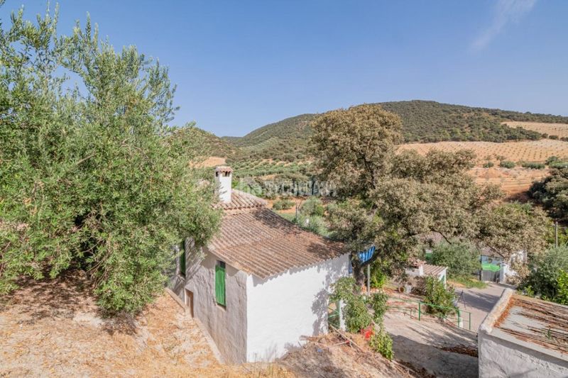 Foto 29c2ea86-381c-4c5e-83b8-a8aa47110de3. Masia a Algarinejo
