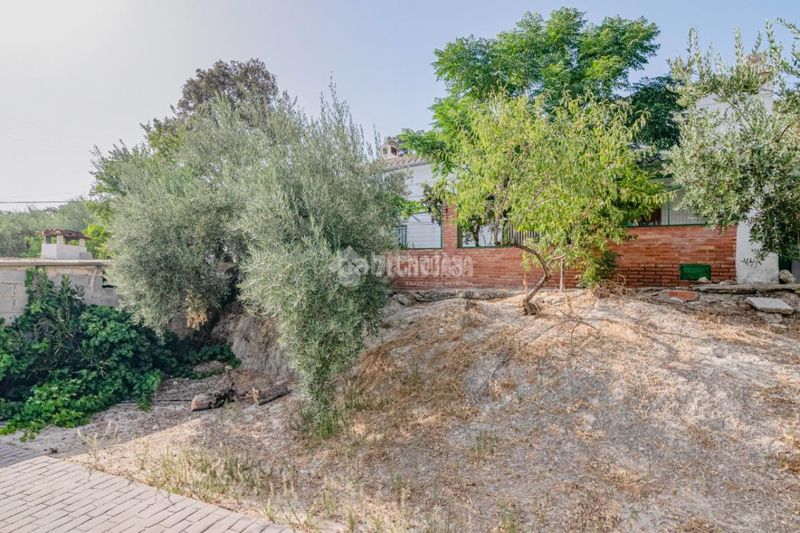Foto 40c92aa4-efe4-423b-8bf7-67c4ec7ee185. Masia a Algarinejo