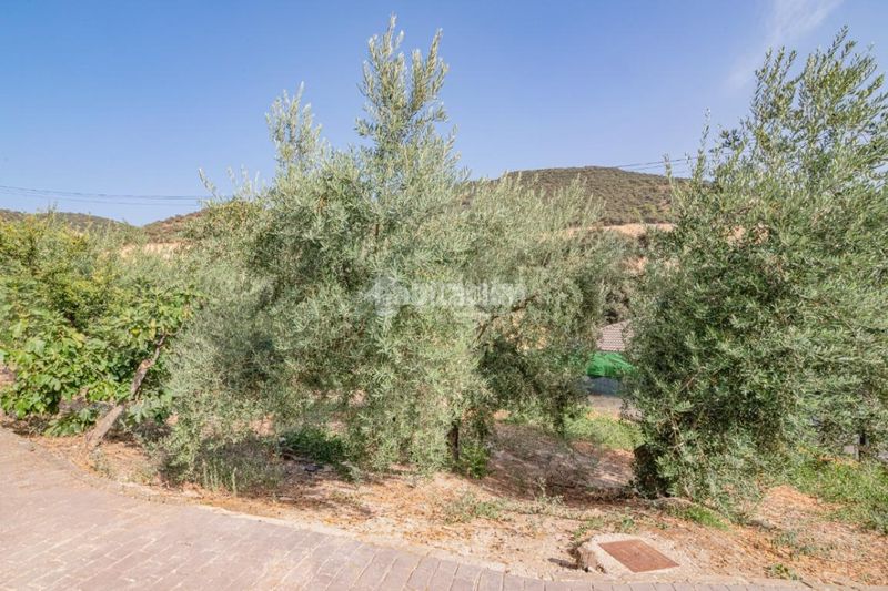 Foto 77586e09-0482-49ce-b649-5c78923d0a08. Masia a Algarinejo