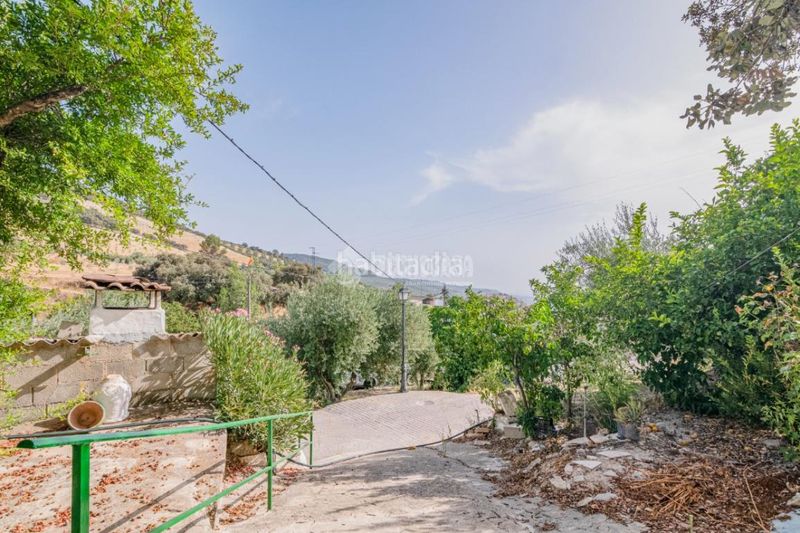 Foto c377bf47-bd05-4bce-857c-d4f14d1e535d. Masia a Algarinejo