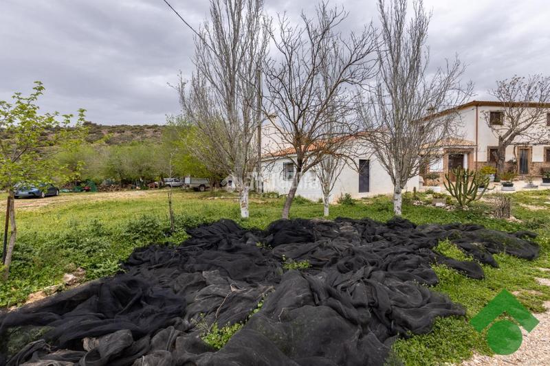 Foto 458d6303-22f6-4655-882a-9d8fd2f7d88d. Haus mit heizung parking in Loja