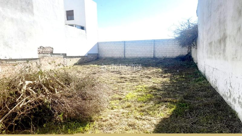 Foto b883fa72-f3c0-4bd6-864d-e7f2b164268b. Terreny residencial a Benalup