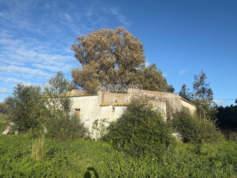 Foto 16402d34-6a1d-4c02-88a7-6fd3b95e50a4. Finca rústica a Vejer Vejer de la Frontera