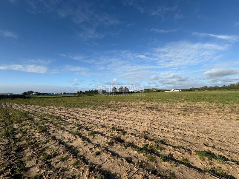 Foto 48c8a61d-6978-4128-abae-d4c978473d06. Finca rústica a Vejer Vejer de la Frontera