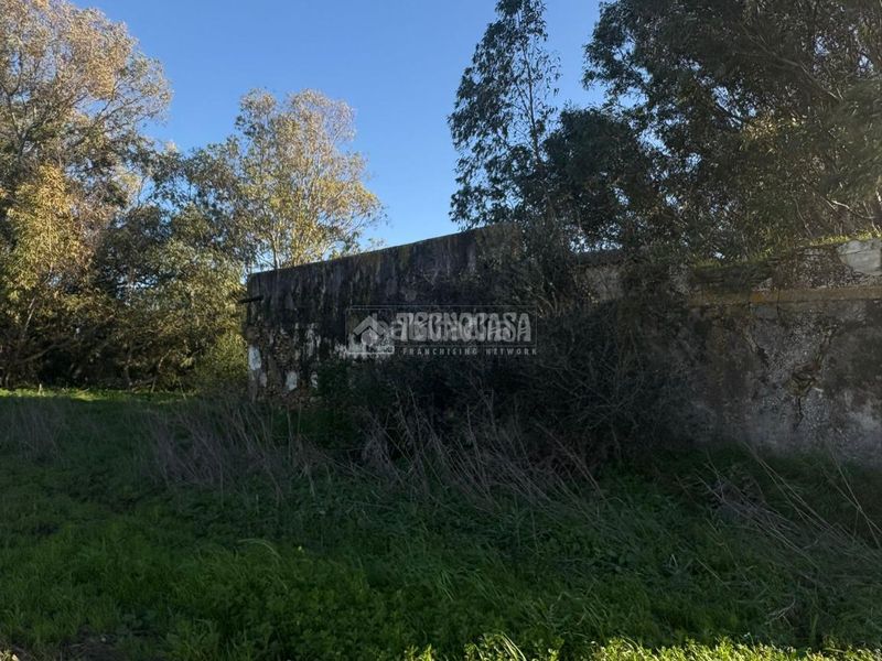 Foto 4a735b5a-0f42-40e3-be71-c7b5d7c80178. Finca rústica a Vejer Vejer de la Frontera