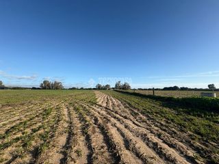Finca rústica a Vejer. Terrenos en venta en vejer de la frontera