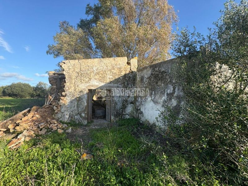 Foto 8be85758-eee7-4caf-9b6c-17accbfab6e1. Finca rústica a Vejer Vejer de la Frontera