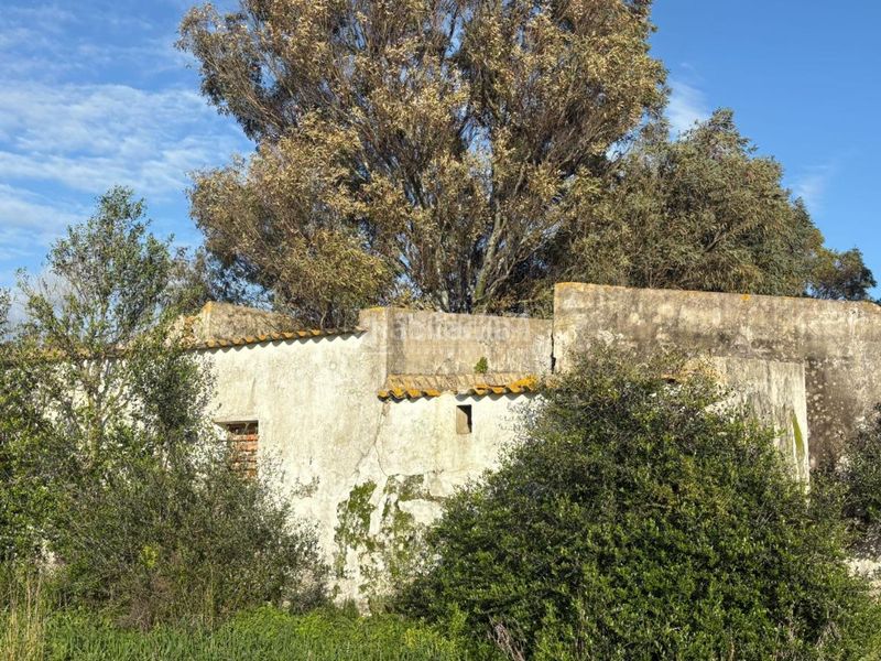 Foto c0252687-b37b-4960-989e-bb93b3239e09. Finca rústica a Vejer Vejer de la Frontera