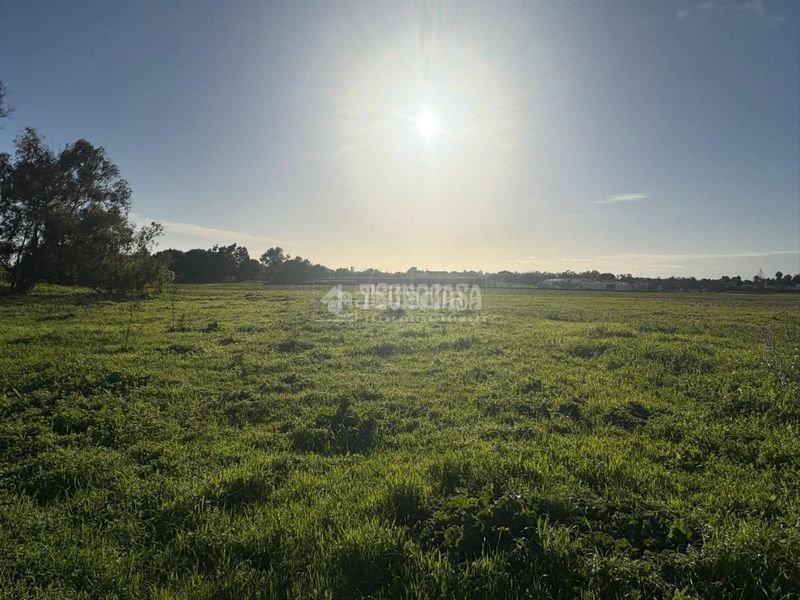Foto c4918807-dd2e-4a83-9e90-54f73a75cf03. Finca rústica a Vejer Vejer de la Frontera