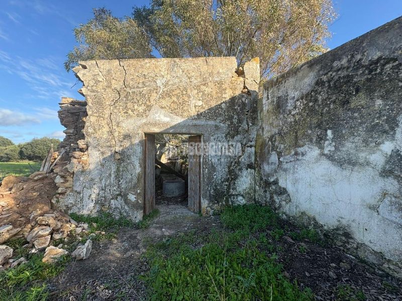 Foto d83c06d4-fd15-4978-bb70-71b5c6ff3a50. Finca rústica a Vejer Vejer de la Frontera