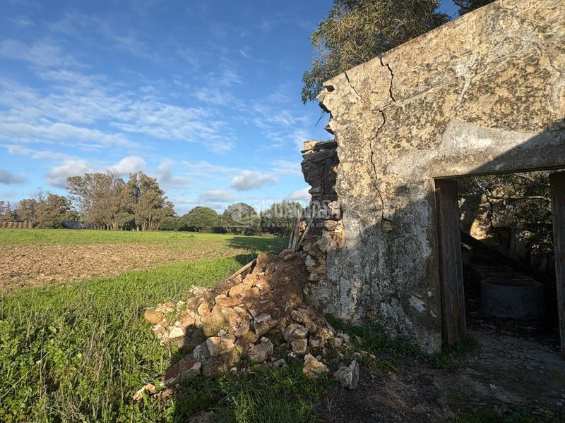 Foto e1c710d5-9c07-4869-9f49-6c3b9f672e03. Finca rústica a Vejer Vejer de la Frontera