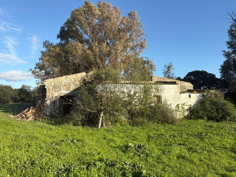 Foto ff7b0373-20cc-4afe-8033-f43641f66e9d. Finca rústica a Vejer Vejer de la Frontera