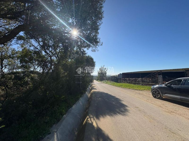Foto 1ee98017-32e8-4748-87f0-d30d33244d24. Finca rústica terrenos en venta en Vejer Vejer de la Frontera