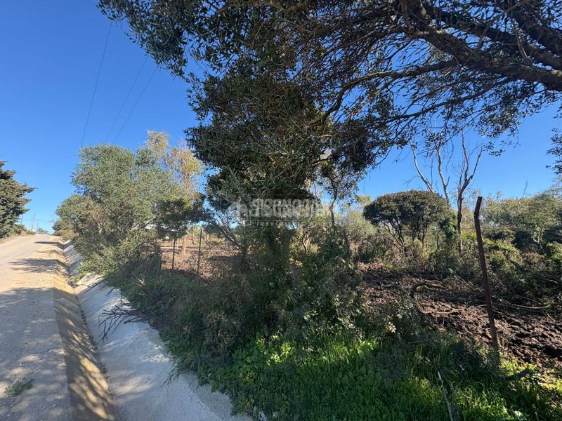 Foto 3d658551-125c-446e-a4cb-4f0a5e72d6c2. Finca rústica terrenos en venta en Vejer Vejer de la Frontera