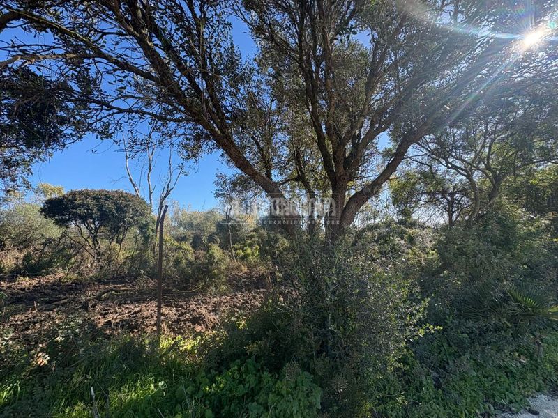 Foto abd2e2d5-b445-4429-a99d-9eeaeeafa6be. Finca rústica terrenos en venta en Vejer Vejer de la Frontera