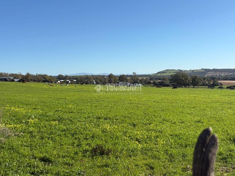 Foto 17591968-ca33-4905-8b22-13d4c46ad2d7. Finca rústica terrenos en venta en Vejer Vejer de la Frontera