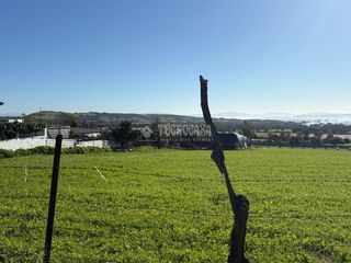 Landgut in Vejer. Terrenos en venta en vejer de la frontera
