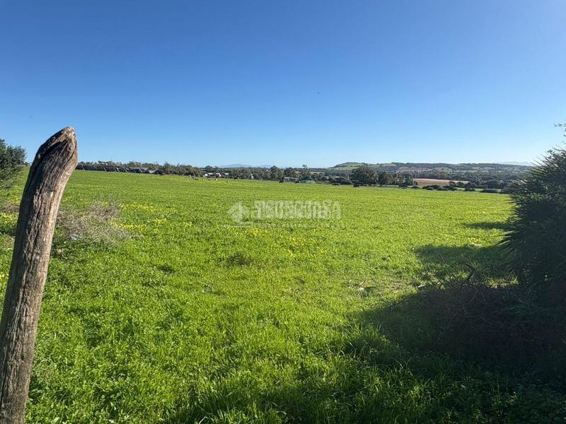 Foto 5b28526b-0f8e-4b07-a6b7-4d7e254a50bc. Finca rústica terrenos en venta en Vejer Vejer de la Frontera