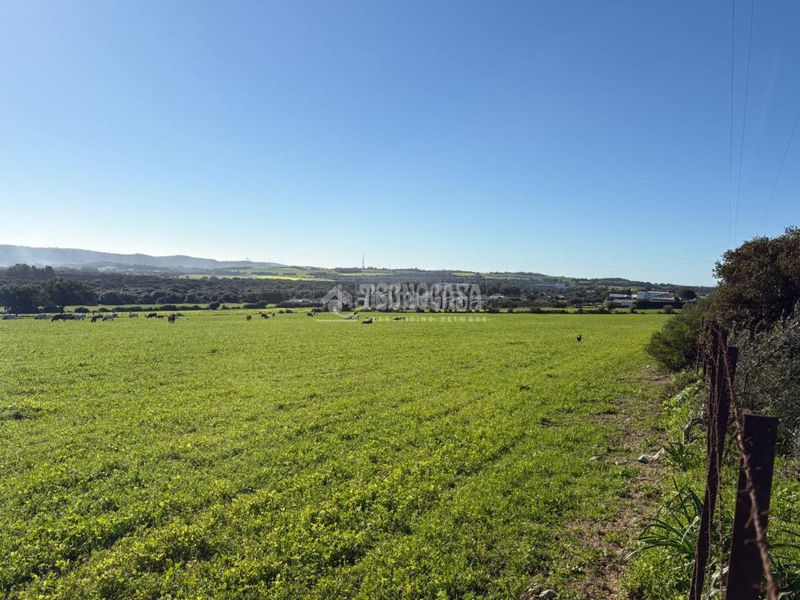 Foto ac5f4e26-6484-4b15-bdd3-f0050b80566a. Finca rústica terrenos en venta en Vejer Vejer de la Frontera