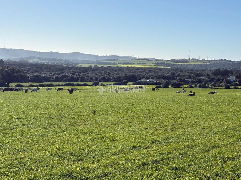Foto b0ff9efa-63c5-498b-8fa8-f569a23e5283. Finca rústica terrenos en venta en Vejer Vejer de la Frontera