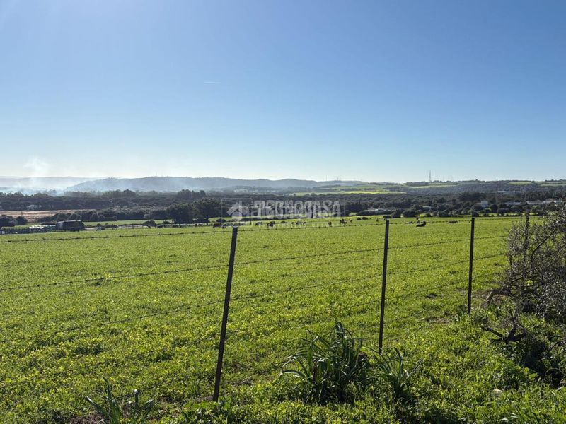 Foto f67dfeb8-a182-4a91-bbf1-4bf3e57ab70f. Finca rústica terrenos en venta en Vejer Vejer de la Frontera