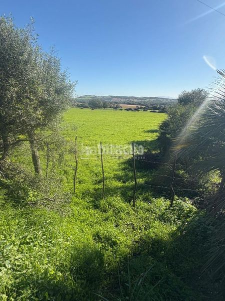 Foto f945b623-a06a-492a-89d3-9a30eae38fb3. Finca rústica terrenos en venta en Vejer Vejer de la Frontera