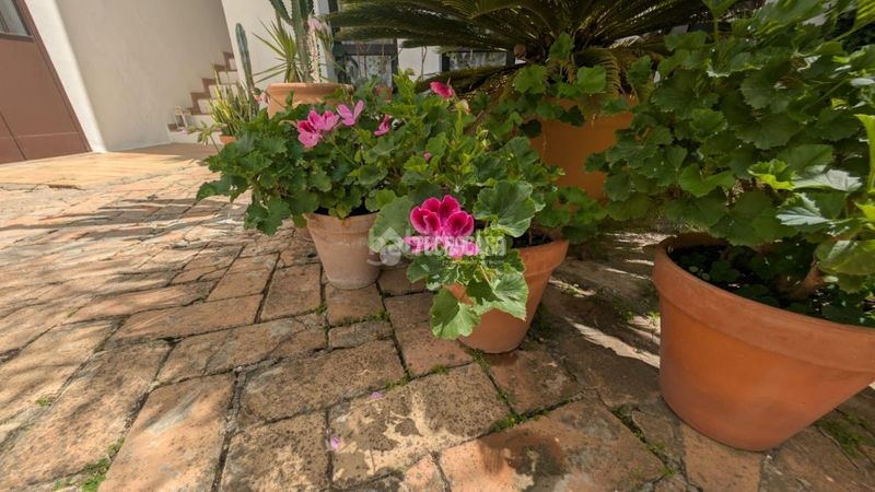 Foto 24a2e805-c601-44d7-a476-516de730d9ca. Casa aparellada a Vejer Vejer de la Frontera