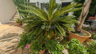 Doppelhaus in Vejer. Casa en venta en vejer de la frontera