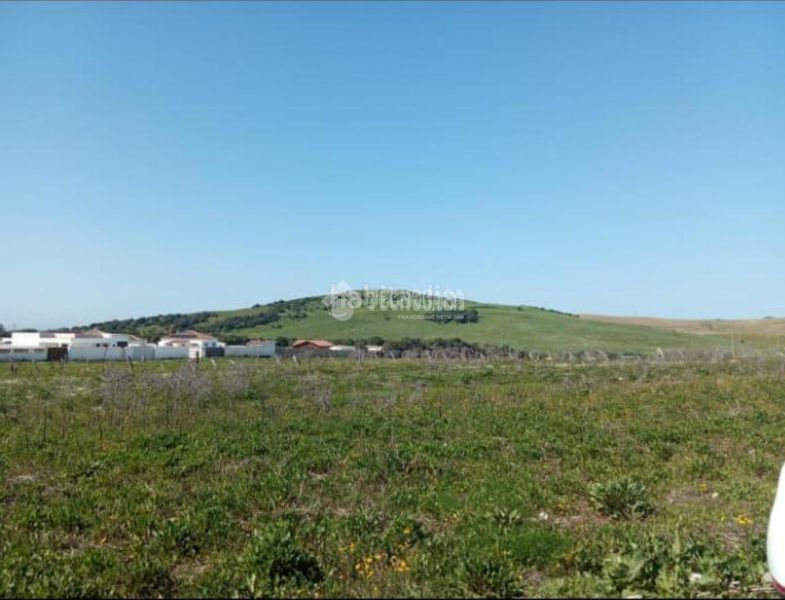 Foto a89dd0ba-0164-4af3-86ec-85e85ec5ff3d. Finca rústica a Vejer Vejer de la Frontera