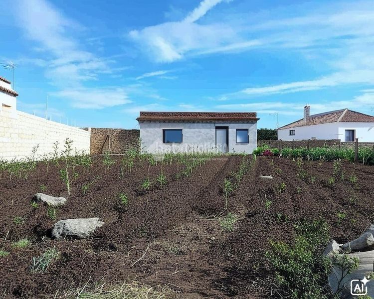 Foto df34c71a-0176-4ec5-b662-cd92ed68a6bb. Finca rústica a Vejer Vejer de la Frontera