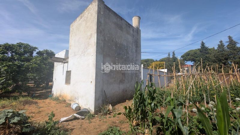 Foto f96ca5f2-7daa-4179-9264-6c682ef198d5. Masia a Vejer Vejer de la Frontera