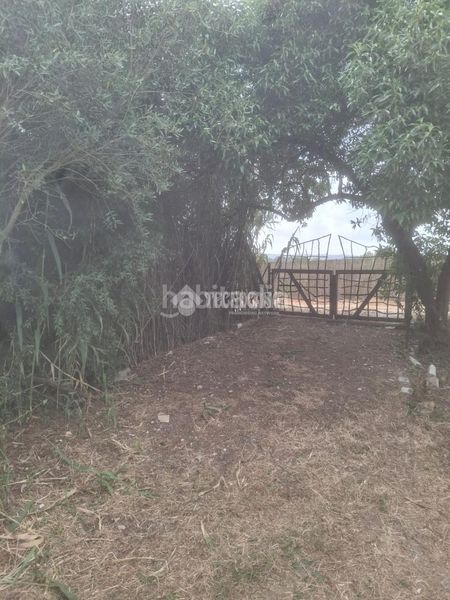 Foto e8430634-1ed9-44ac-af74-7a744719c839. Masia a Barbate Barbate
