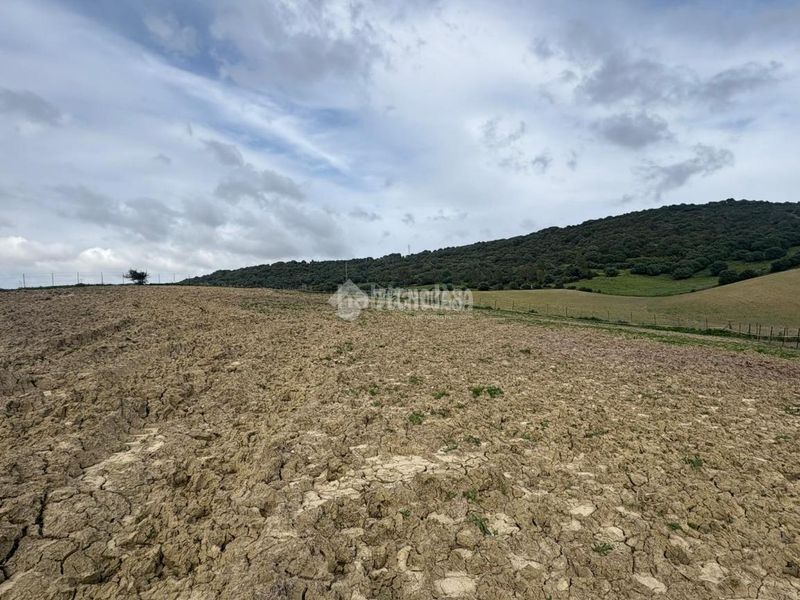 Foto 0d5b554c-9708-4183-9350-af46008bde51. Finca rústica a Vejer Vejer de la Frontera
