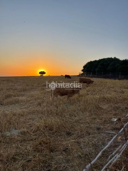 Foto fe4bfaee-2acc-41bd-b436-b22b9cfd4571. Terreny residencial a Vejer Vejer de la Frontera