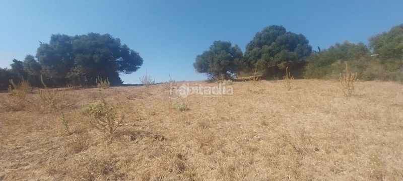 Foto 04653b6e-ab4c-4342-b3c9-f233646b4ada. Terreny residencial a Vejer Vejer de la Frontera