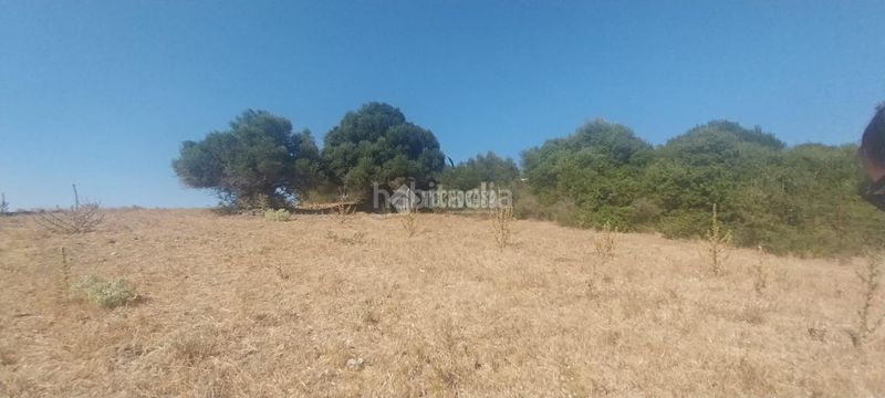 Foto 101b7907-383d-4422-9743-d60f286dfa9d. Terreny residencial a Vejer Vejer de la Frontera