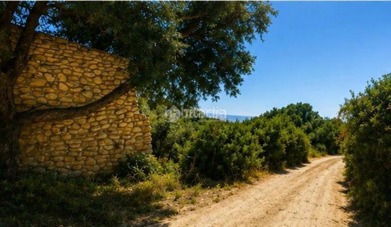 Foto bc919627-9806-448e-bd3b-c1455a2cc0e4. Terreny residencial a Vejer Vejer de la Frontera