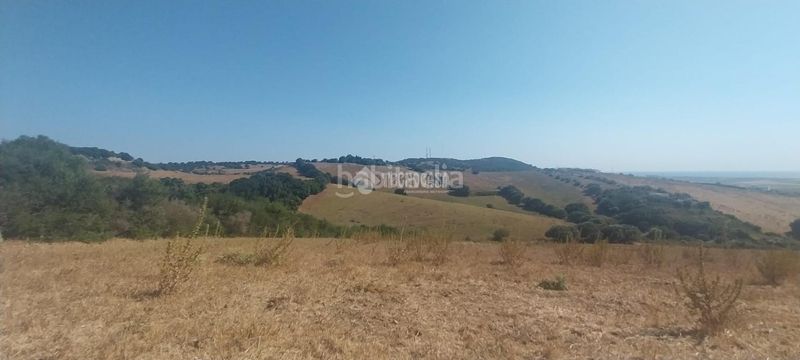Foto d597aab9-6139-4632-b71b-f79428aff65e. Terreny residencial a Vejer Vejer de la Frontera