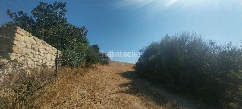 Foto f841936a-ec71-46f0-b25b-3b2cf57a85b8. Terreny residencial a Vejer Vejer de la Frontera