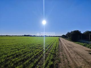 Finca rstica en Vejer. Terrenos en venta en vejer de la frontera