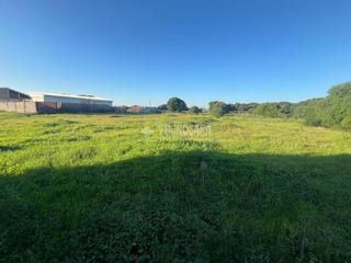 Finca rústica a El Palmar. Terrenos en venta en vejer de la frontera
