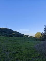 Finca rústica a Vejer. Terrenos en venta en vejer de la frontera