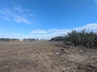 Finca rústica a El Palmar. Terrenos en venta en vejer de la frontera