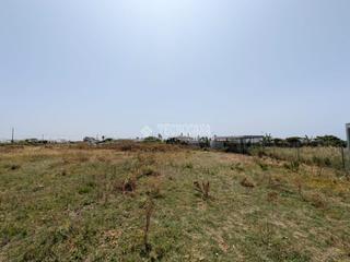 Finca rústica a El Palmar. Terrenos en venta en vejer de la frontera