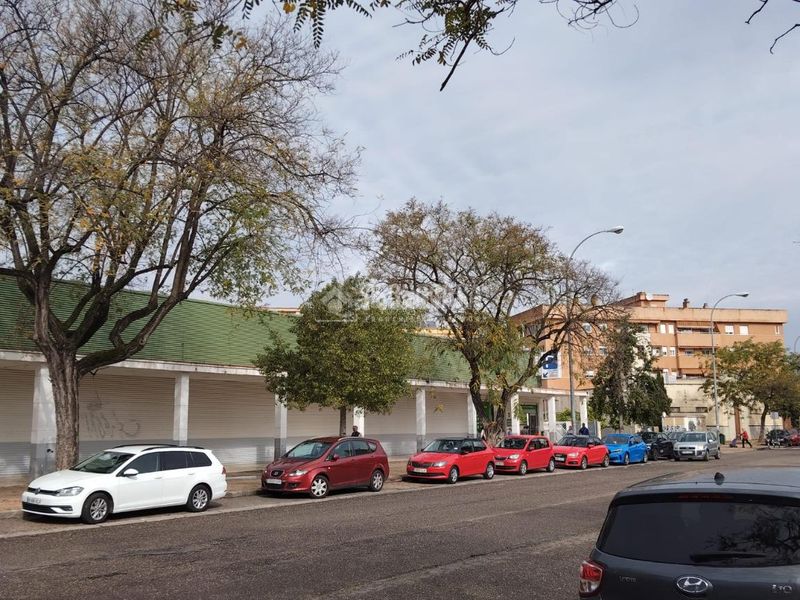 Foto ff217f18-d66f-4e33-98c7-723c656a8041. Pis a Sector Sur Córdoba